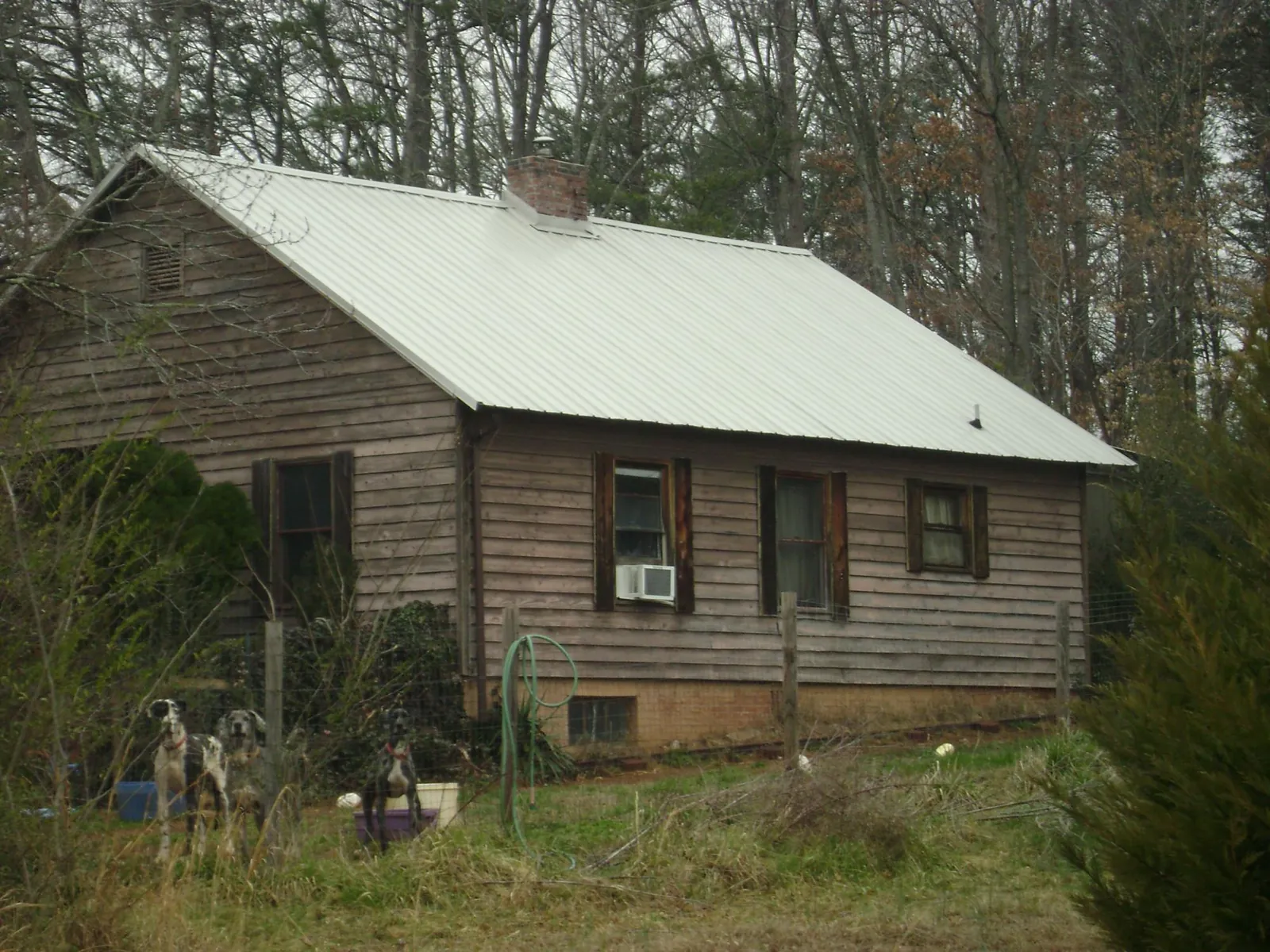 White metal roof on an old wood sided farmhouse, from a Metal Roof Installation job in Felton